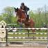 Brownland Farm Spring Shows